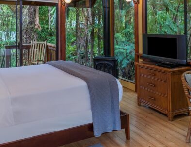 Rainforest suite Queen bed with TV