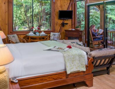 Hale Manaluna Queen bed with TV