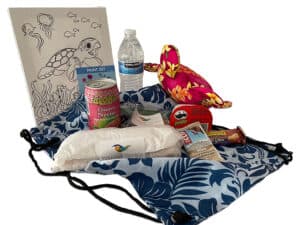 Young explorer pack with sandwich, snacks, turtle and lunch bag