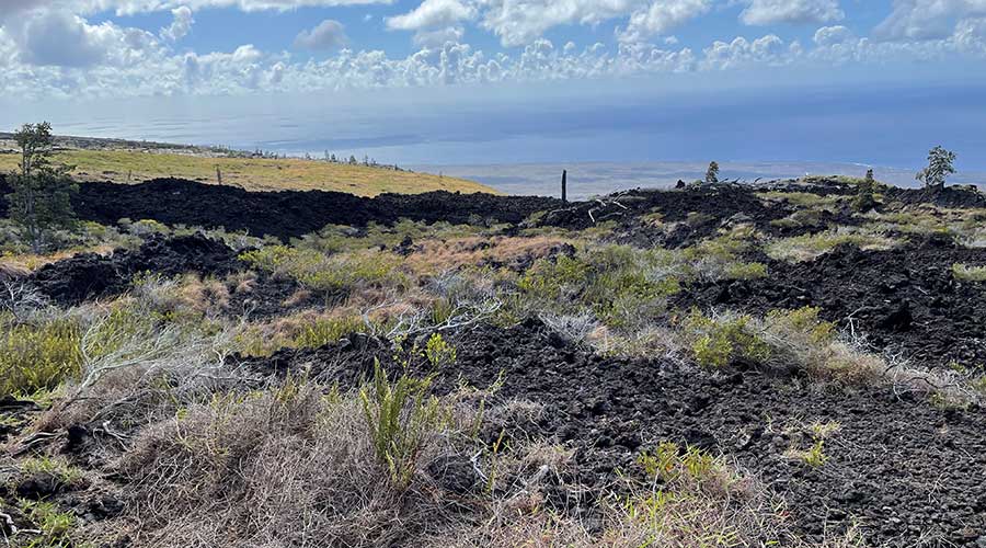 Chain of Craters Road, Volcanoes National Park