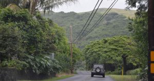 Fun fact about Volcano, HI: Driving around will lead you to wonderful places and sceneries