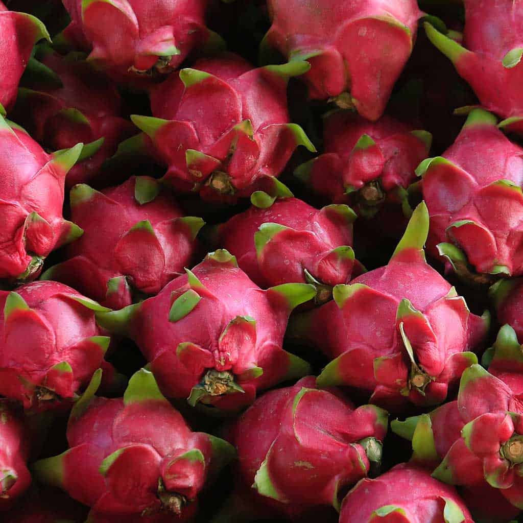 Dragon fruit - a tropical fruit that can be found in Hilo Farmers Market