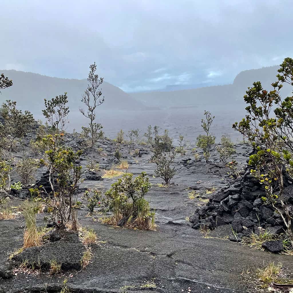 Volcano Travel Guide: visit and hike at the Kilauea Iki Trail