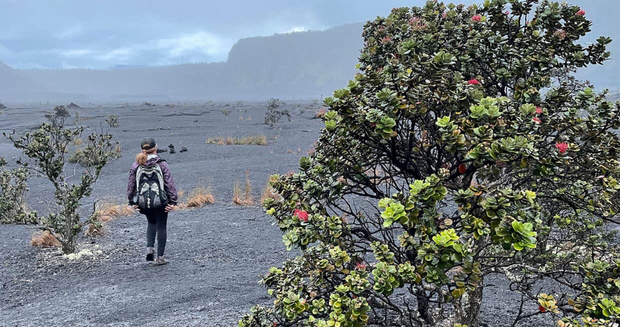 Volcanoes National Park hikes guide: Discover the hiking trails in Volcanoes National Park