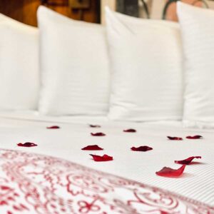 Rose petals on the bed