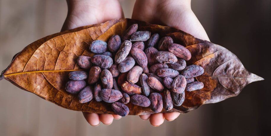 Fresh cacao beans, a must try during your stay at our Volcano B&B.