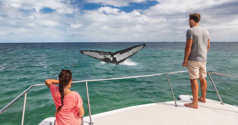 man and woman whale watching hawaii on a boat