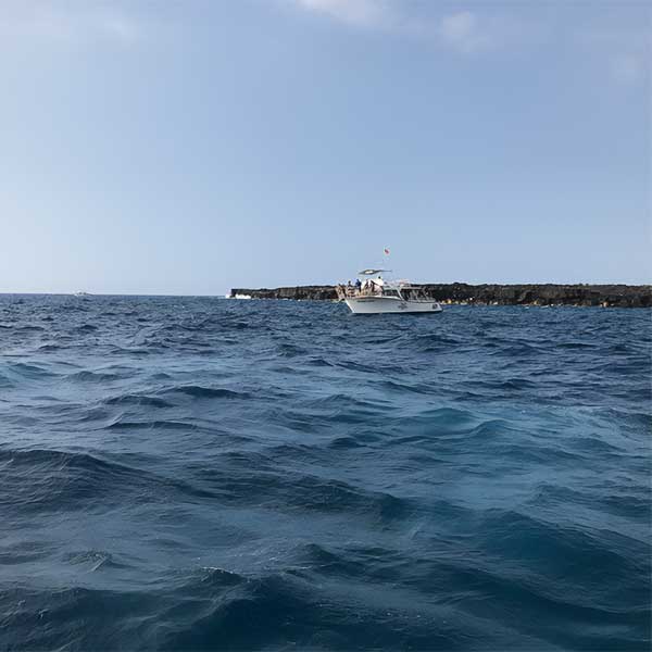 volcano-village-lodge-whale-watching-hawaii-1 whale watching hawaii on a boat