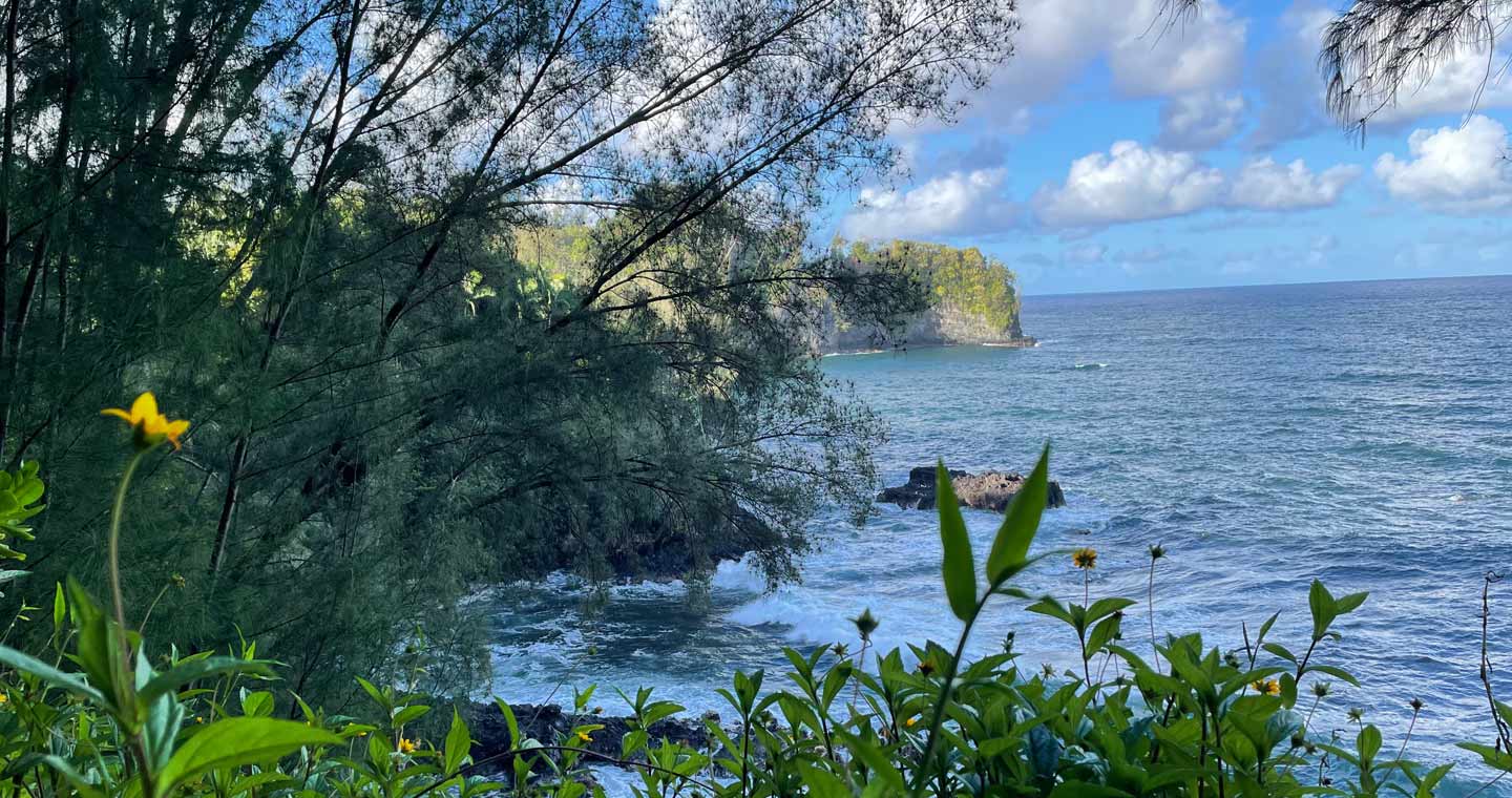 Ocean View along Hawaii Hiking Trail