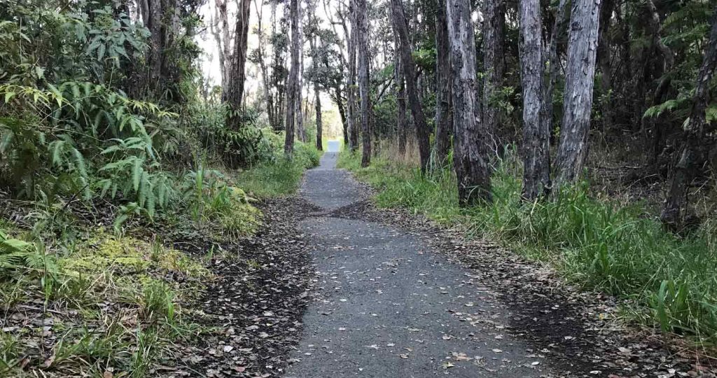 Hiking Trail in Hawaii