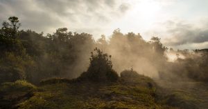 Hawaii Steam Vents Big Island Hawaii