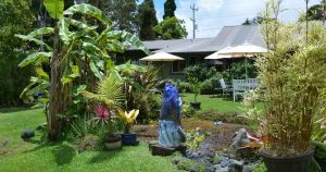 Garden at Volcano Garden Arts in Hawaii
