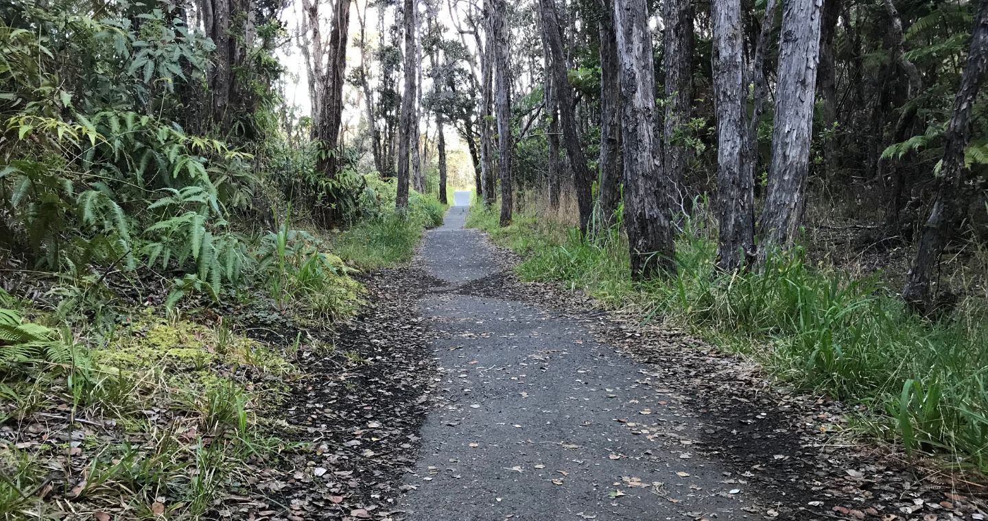 Paved trail at Hawaii Volcanoes National Park