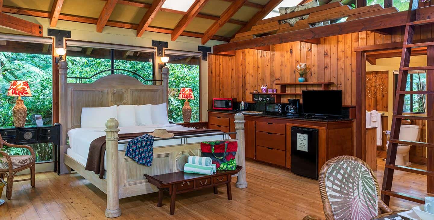 Mauna Loa Bedroom Overview with King bed and TV