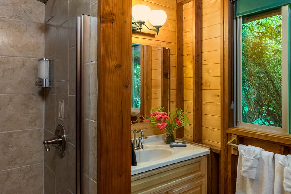 Haleakala Bathroom
