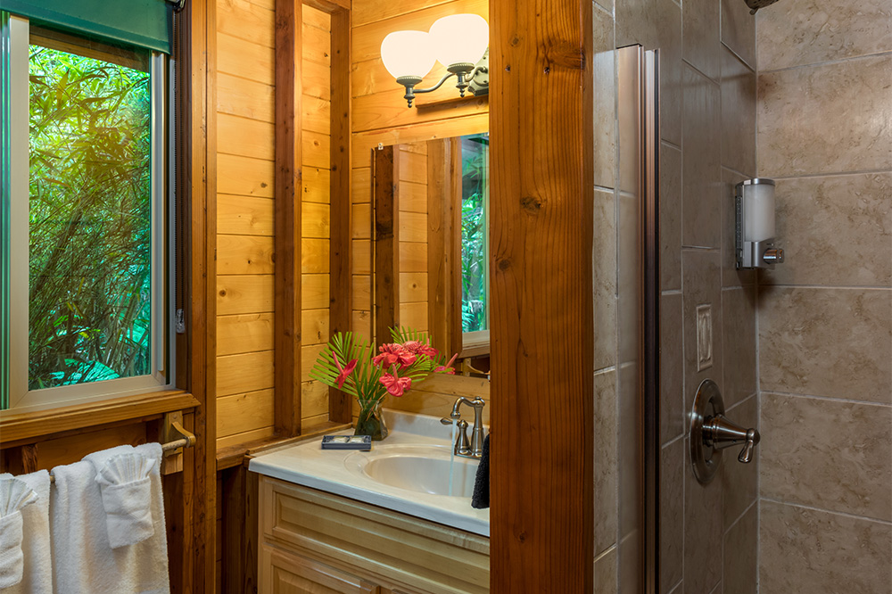 Bathroom in Mauna Kea