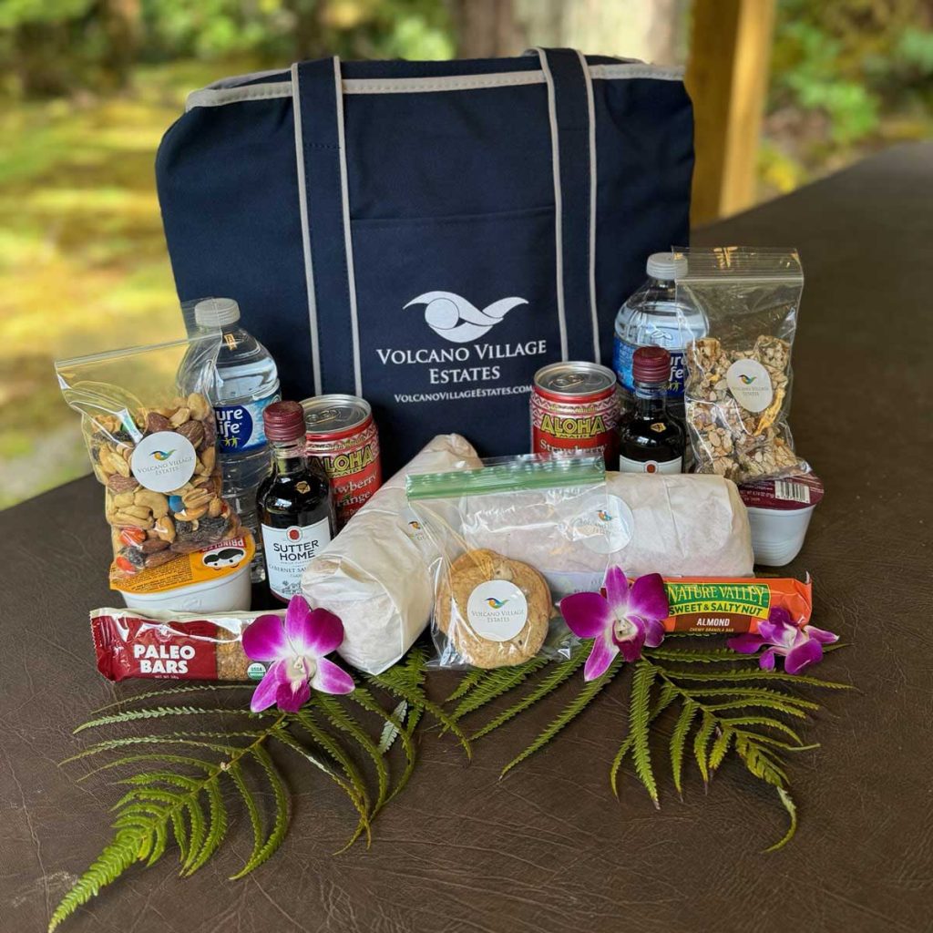 Picnic Bag with keepsake cooler bag