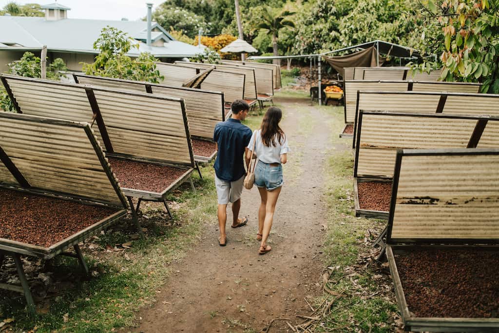 A couple walking through a chocolate farm on the Big Island