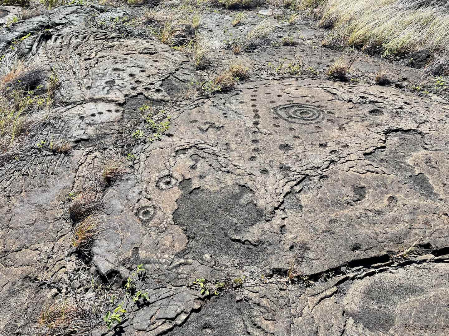 Hawaiian Petroglyphs carved into lava rock at Hawaii Volcanoes National Park