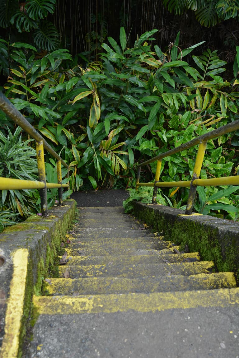 The concrete stairs leading into the Kaumana Caves on the Big Island