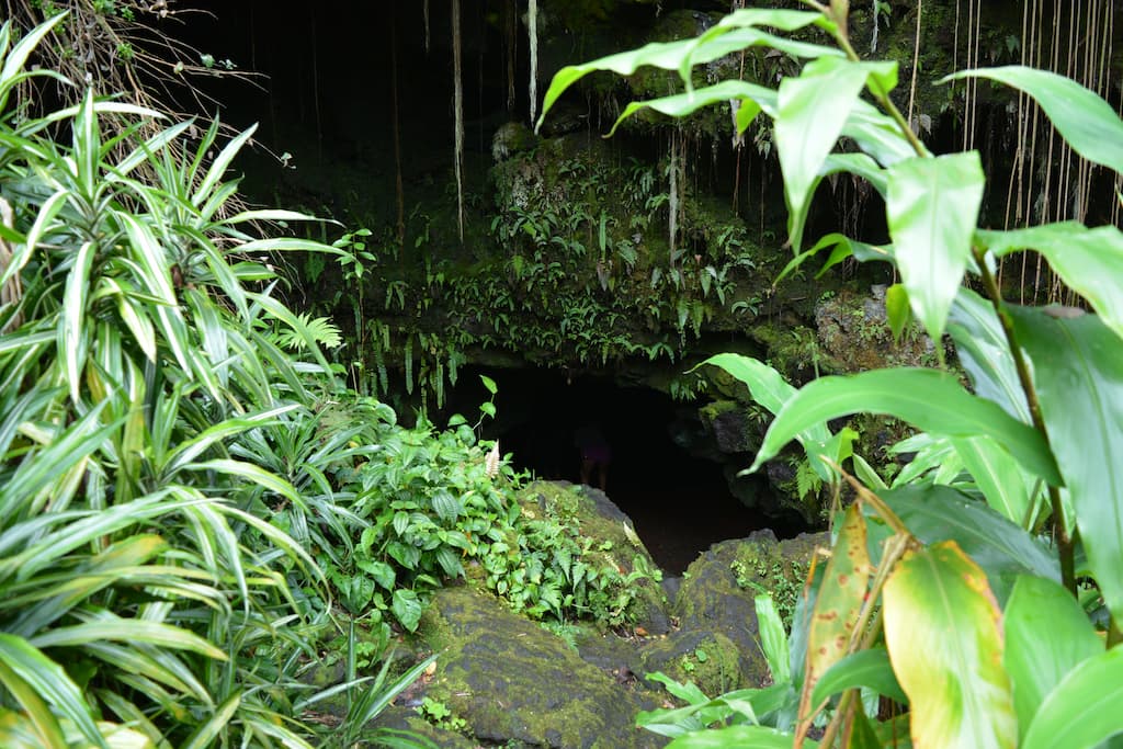 An entrance to Kaumana Caves on the Big Island
