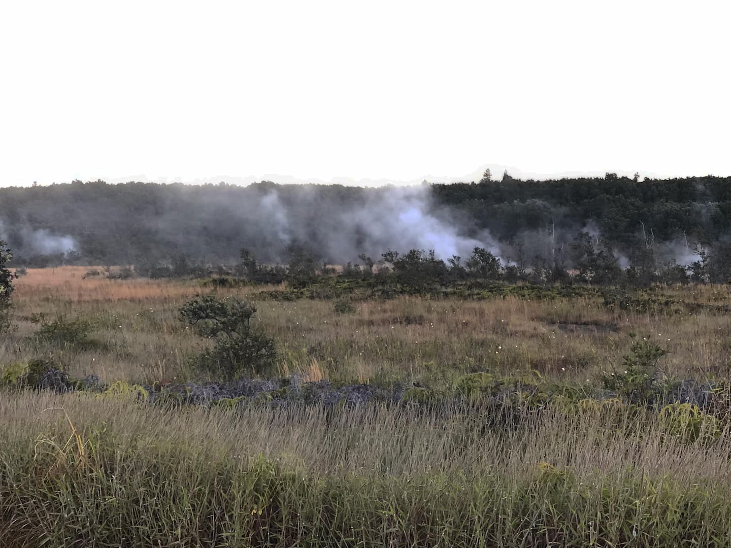 Steam vents at Hawaii Volcanoes National Park