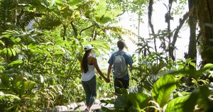 A couple walking through the Hawaii rainforest